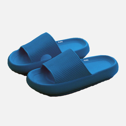 FLOPZ Slides