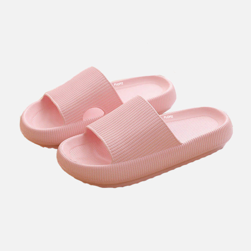 FLOPZ Slides