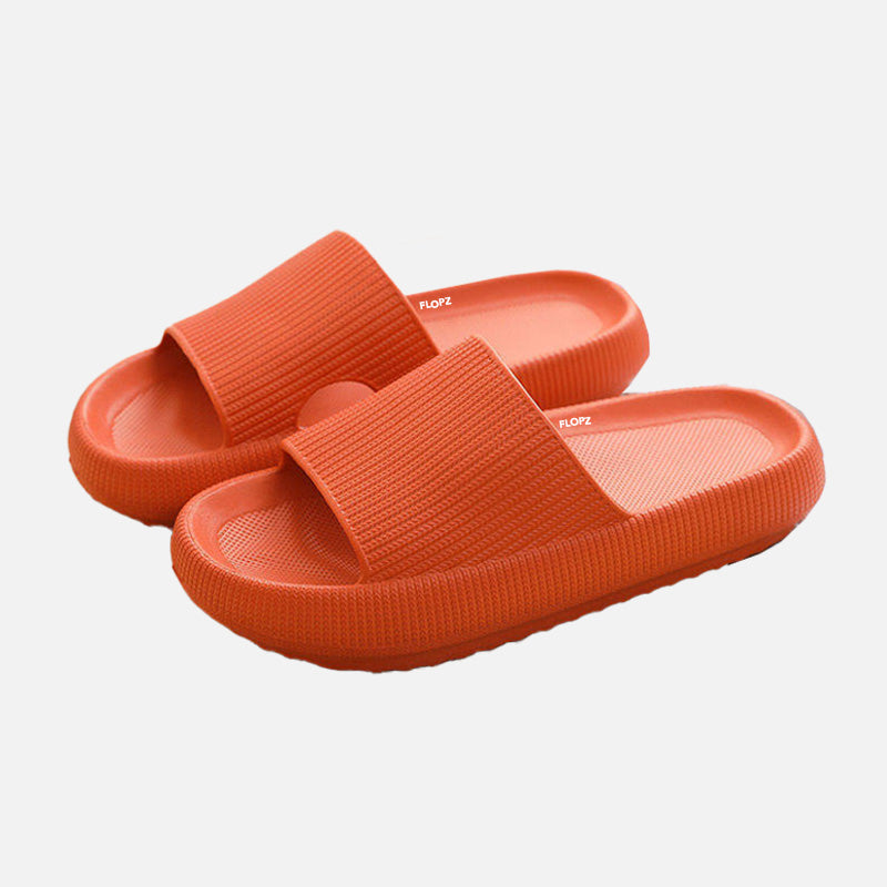 FLOPZ Slides