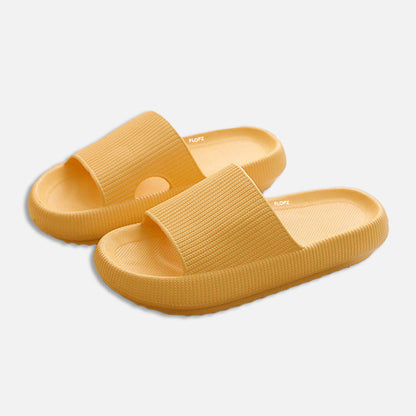 FLOPZ Slides